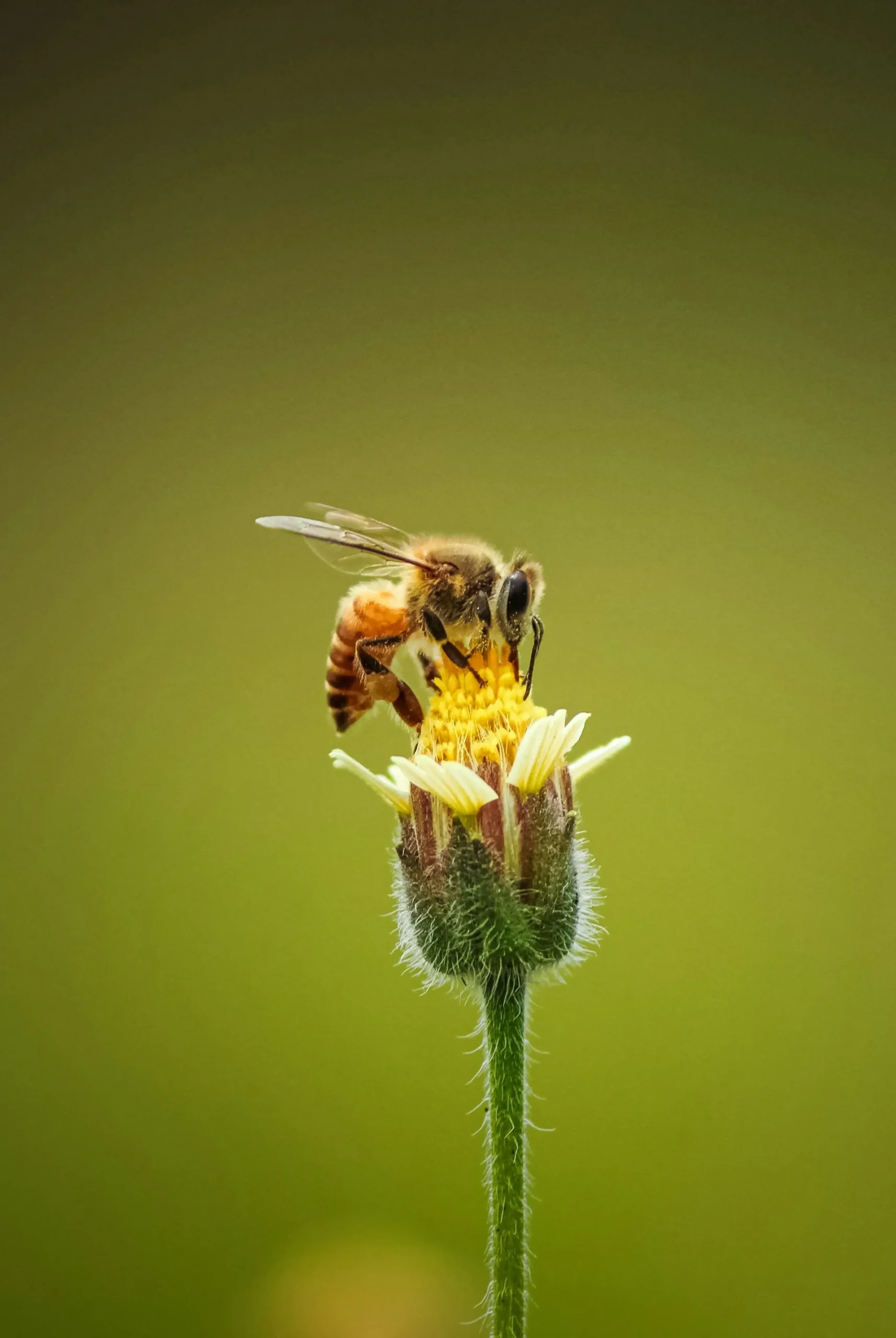 https://qrmenu.ekies.gr/wp-content/uploads/2025/05/ankith-choudhary-AbBZKCPzLQQ-unsplash-scaled.webp